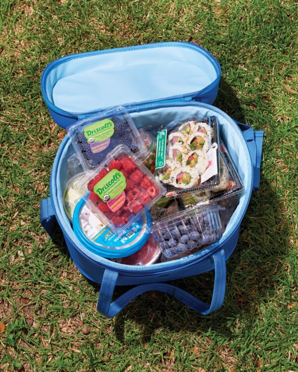 Cooler with Berries and Sushi