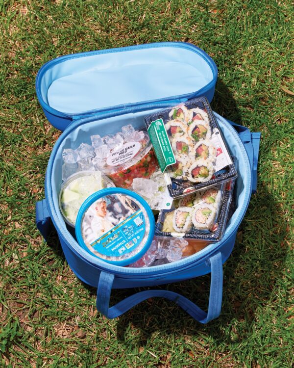 Cooler with Sushi, Hummus, and Pico de Gallo