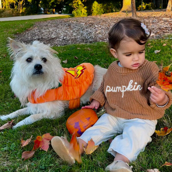 Dog in pumpkin outfit & little girl wearing pumpkin sweater