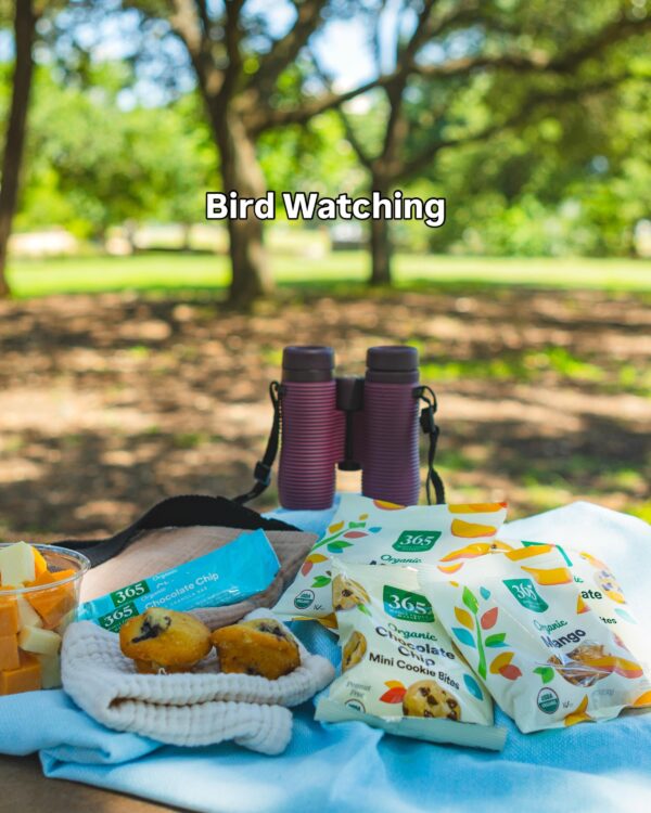 Bird Watching